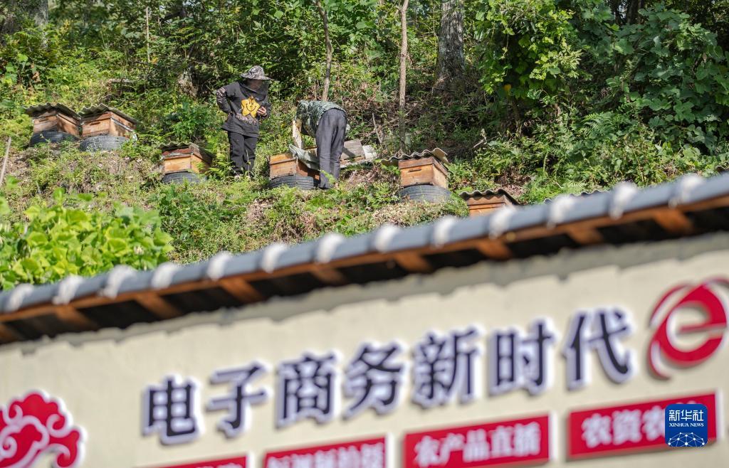 ag飞禽走兽